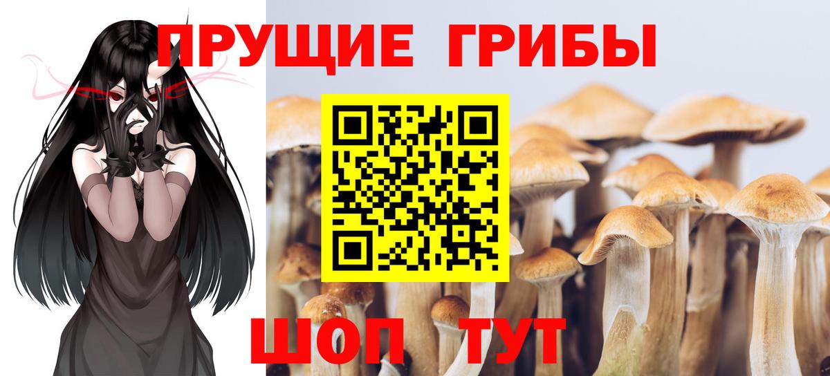 Псилоцибиновые грибы ЛСД Саянск